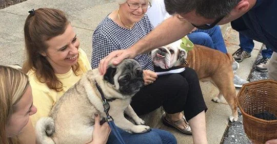 blessing of animals.jpg