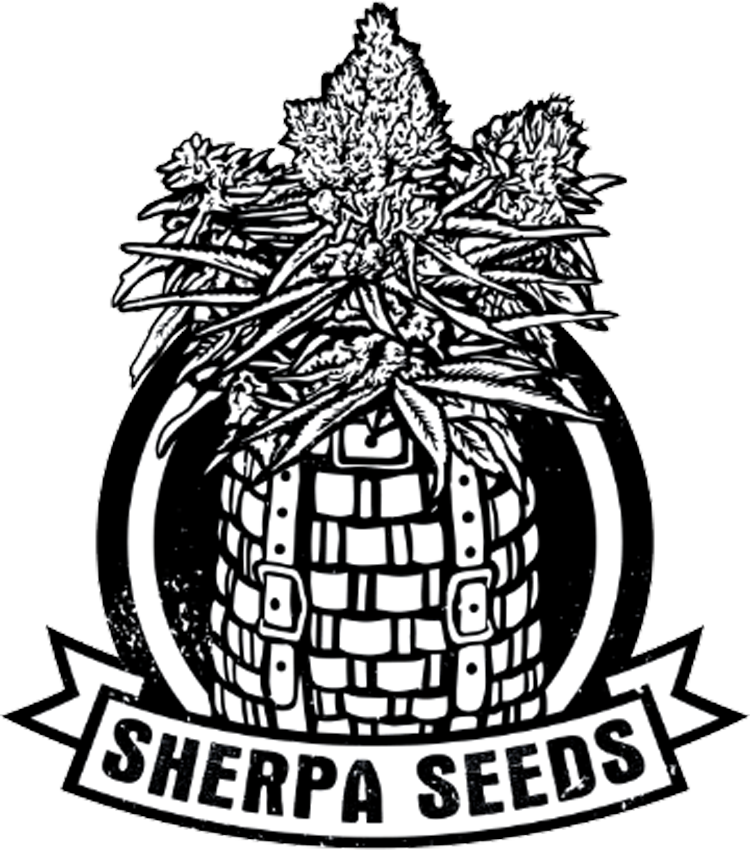 sherpa-seeds-logo-lg.png