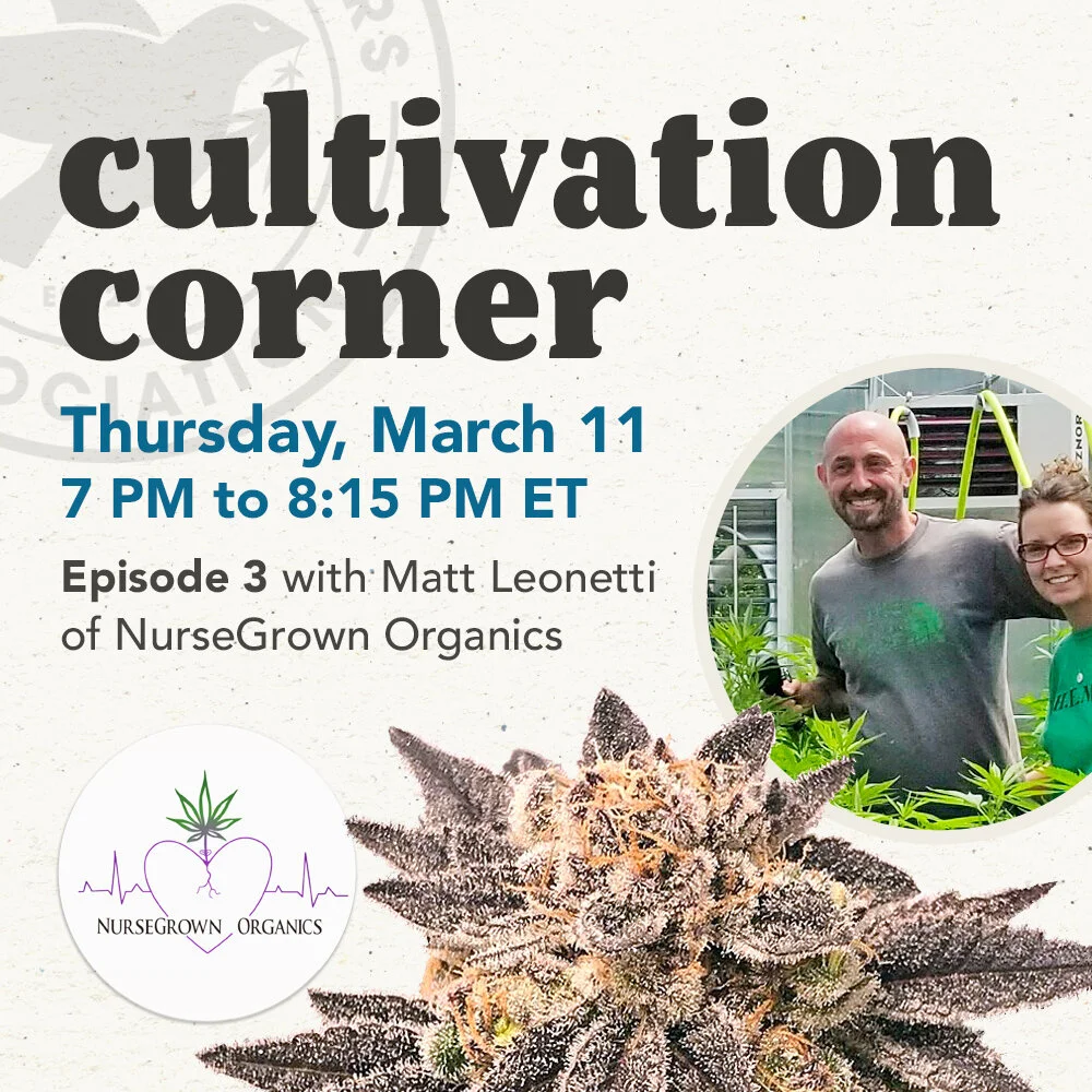 Cultivation Corner, Episode 3 With Matt Leonetti