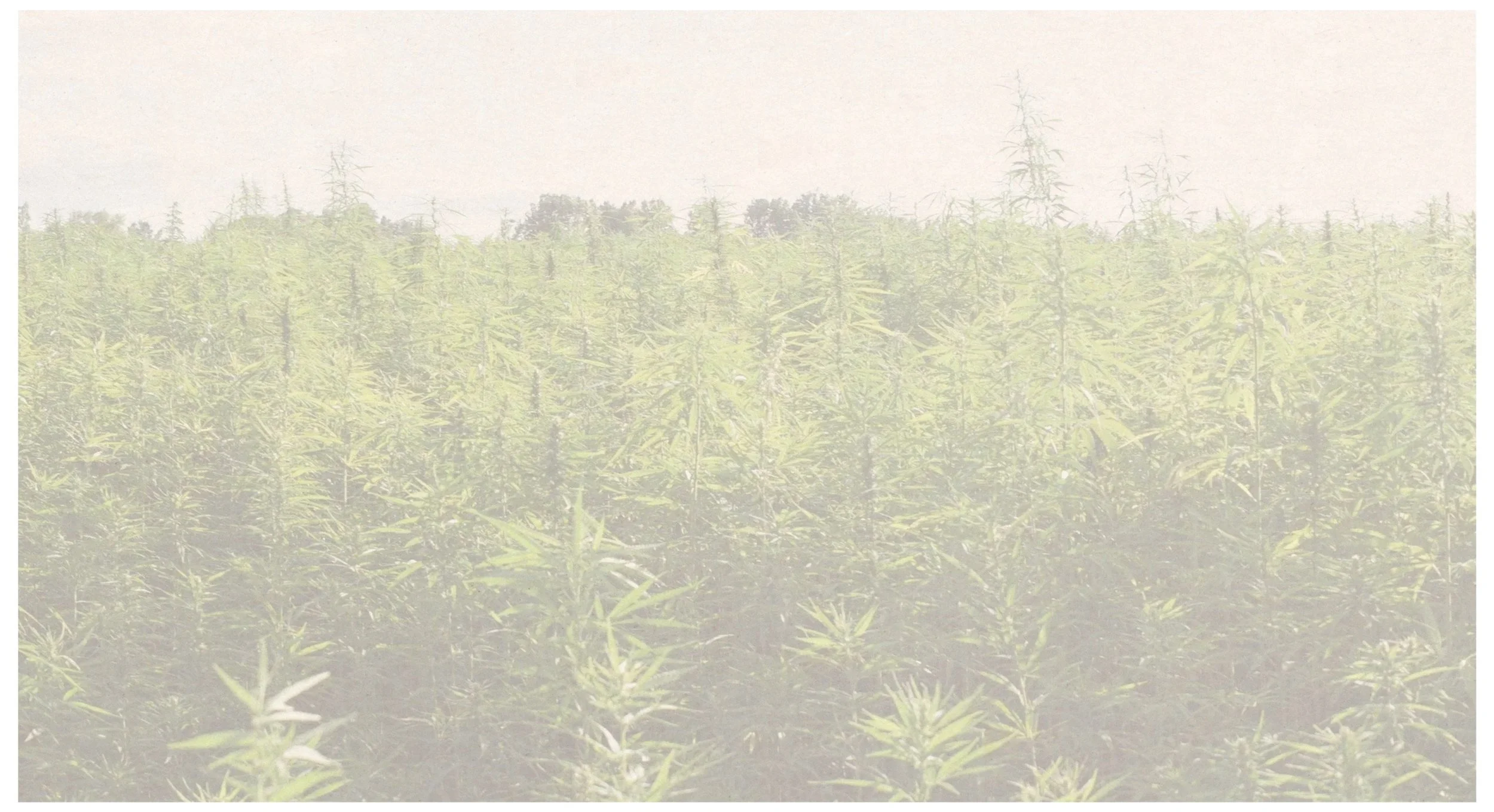  The 2026 Policy Agenda is out! This year, we focus&nbsp;around three central themes: improving current systems, generating revenue, and protecting individuals.   Read more →  