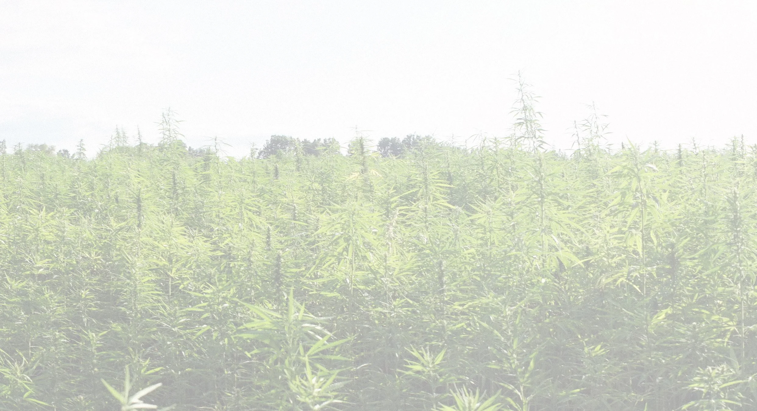  The 2026 Policy Agenda is out! This year, we focus&nbsp;around three central themes: improving current systems, generating revenue, and protecting individuals.   Read more →  