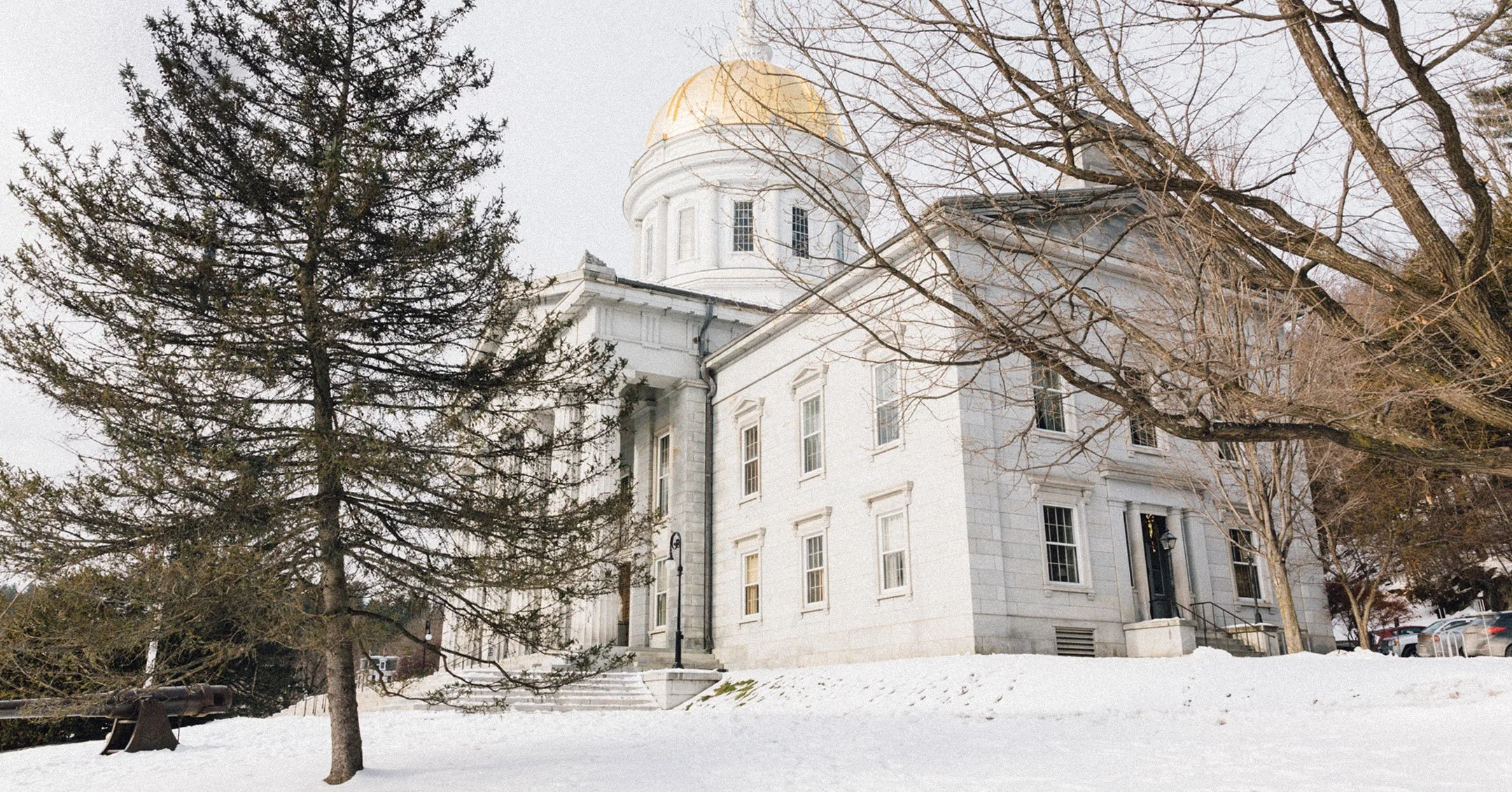  Get caught up on the latest with the State House and the Cannabis Control Board’s monthly Board meeting.   Read the update →  