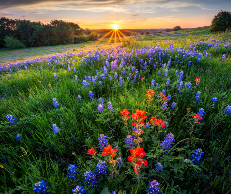 How Much House Can You REALLY Afford?