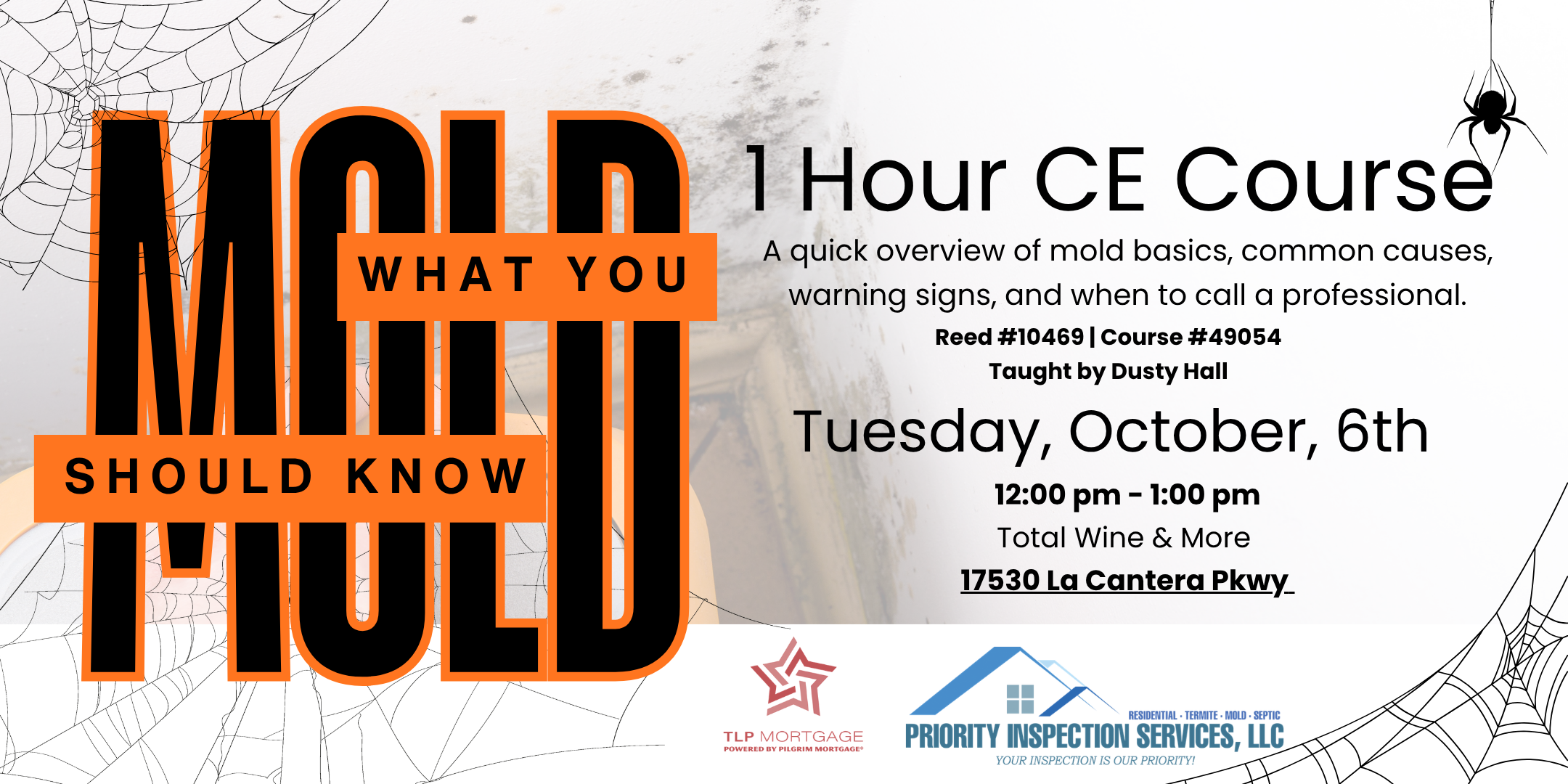CE: MOLD What you should know
