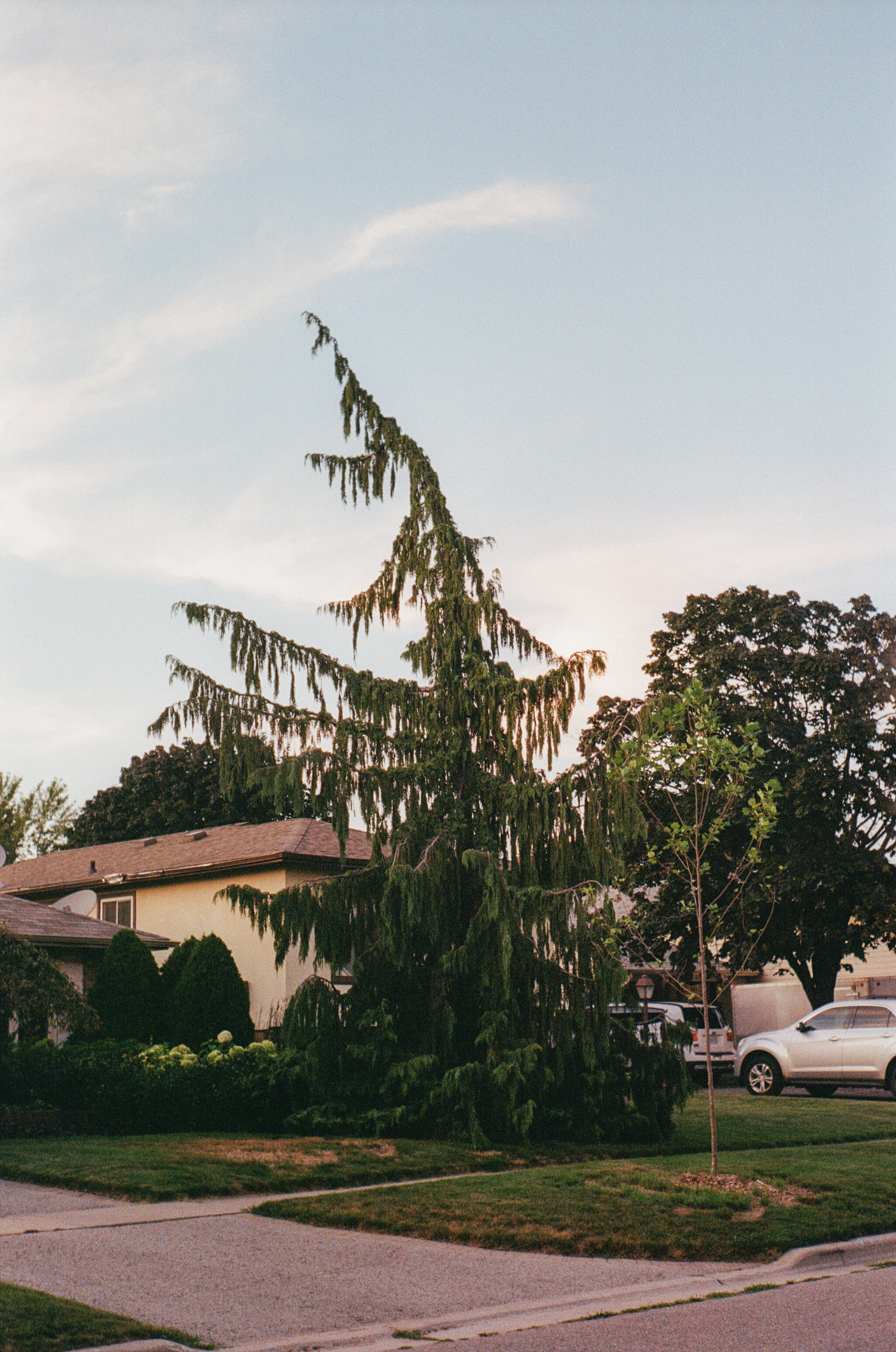 000018170010 Final.jpg