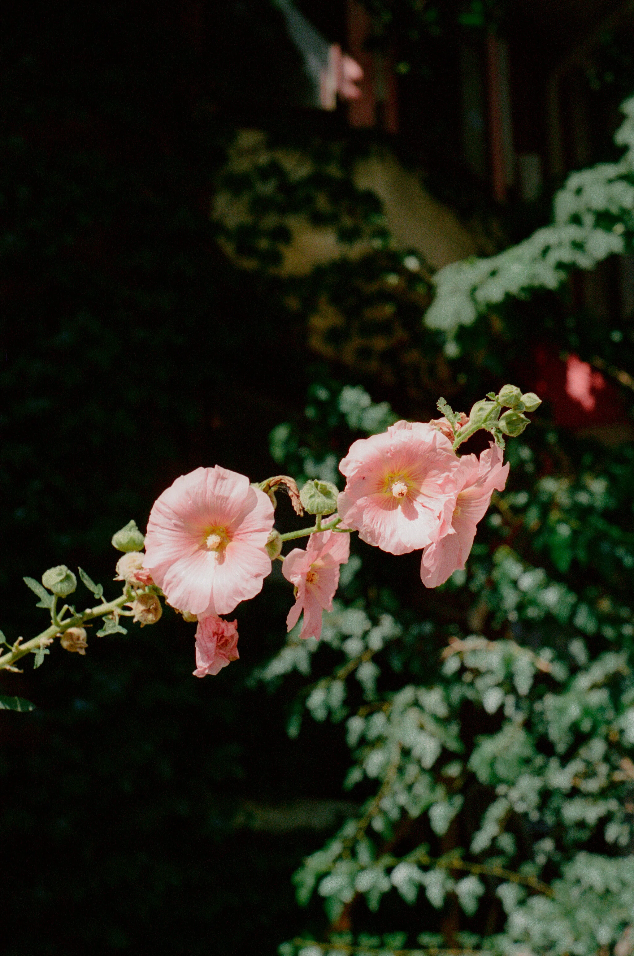 000018190020 Final.jpg