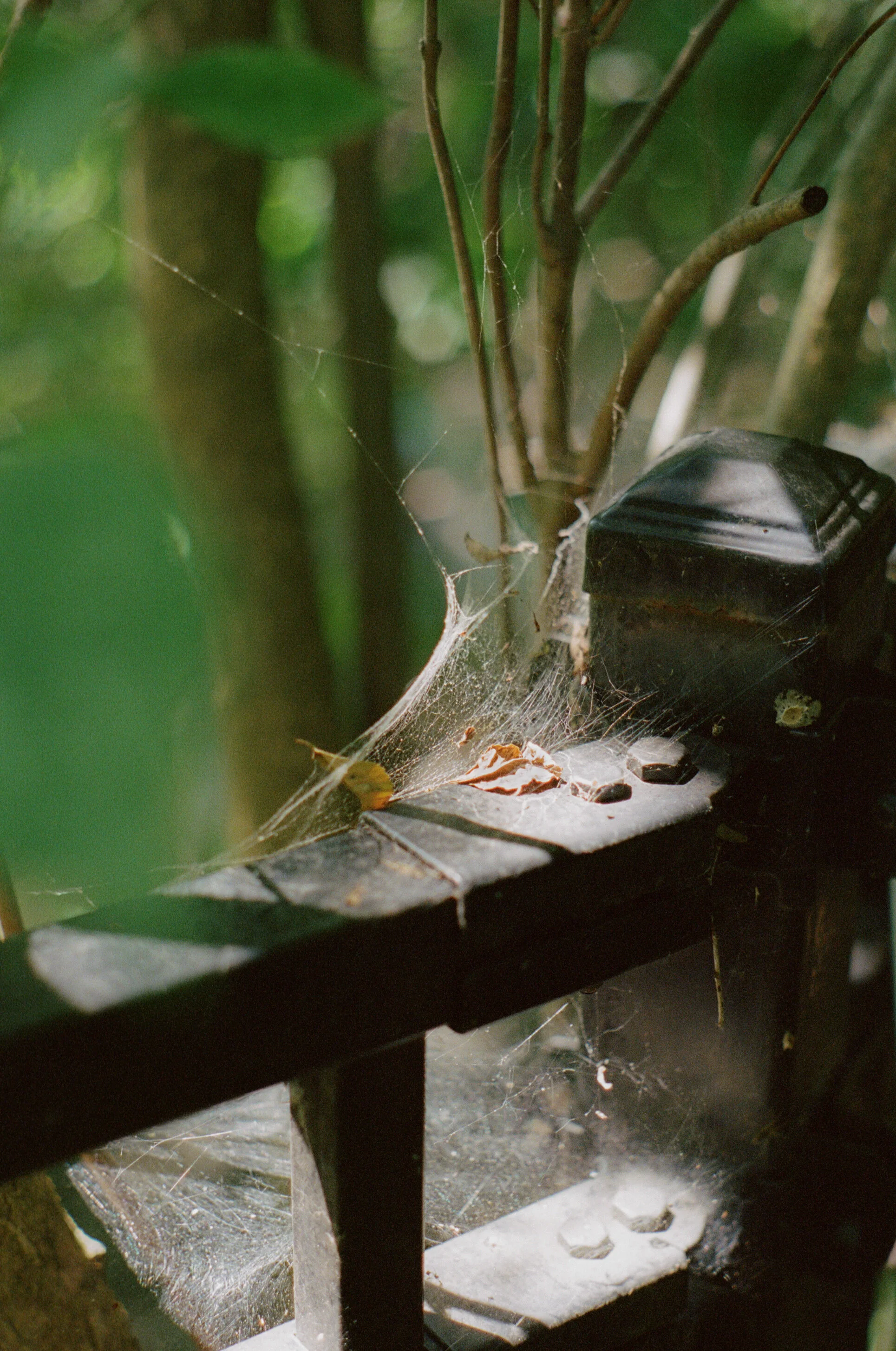 000018190018 Final.jpg