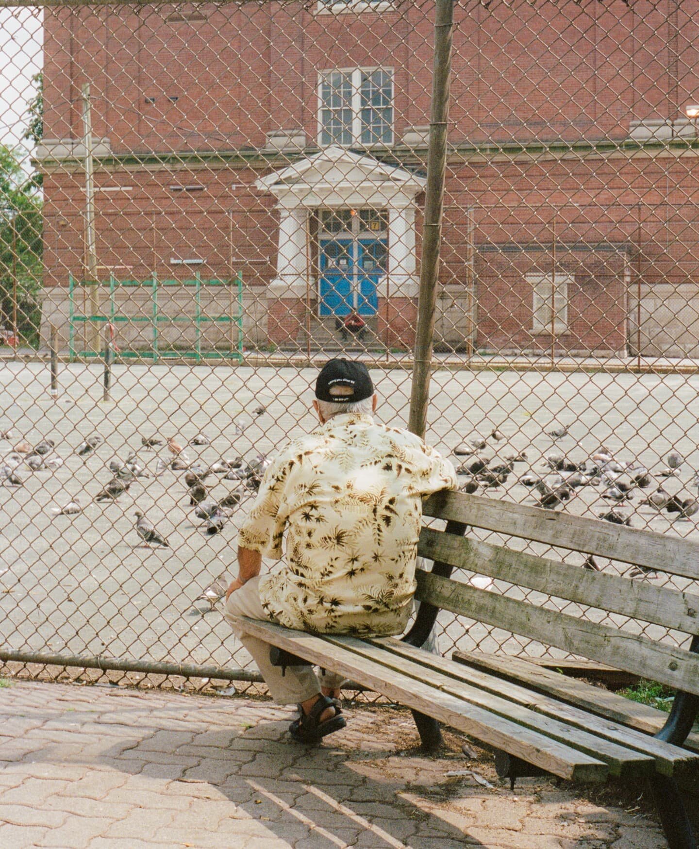 bloordale, august? maybe september? on #portra400 ✧ #35mm 🐦