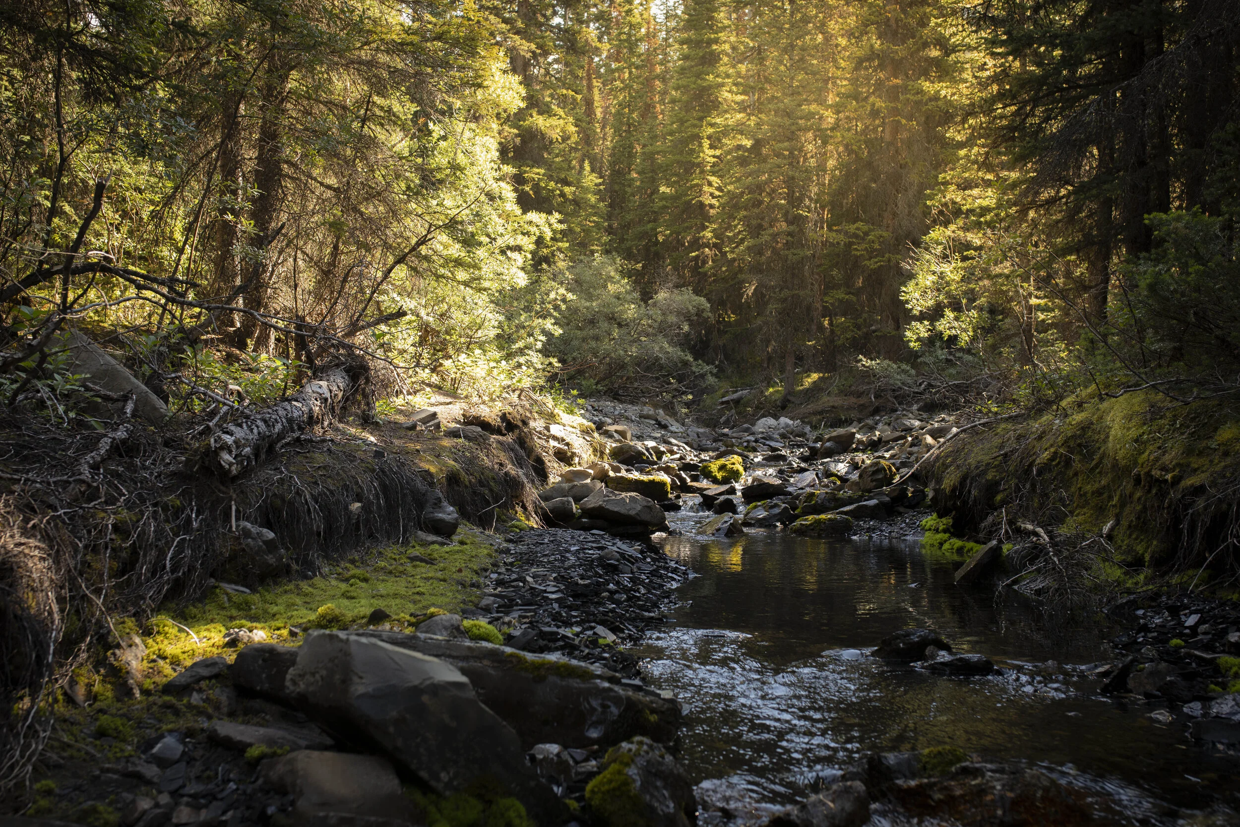 Unnamed Waterfall Adventures