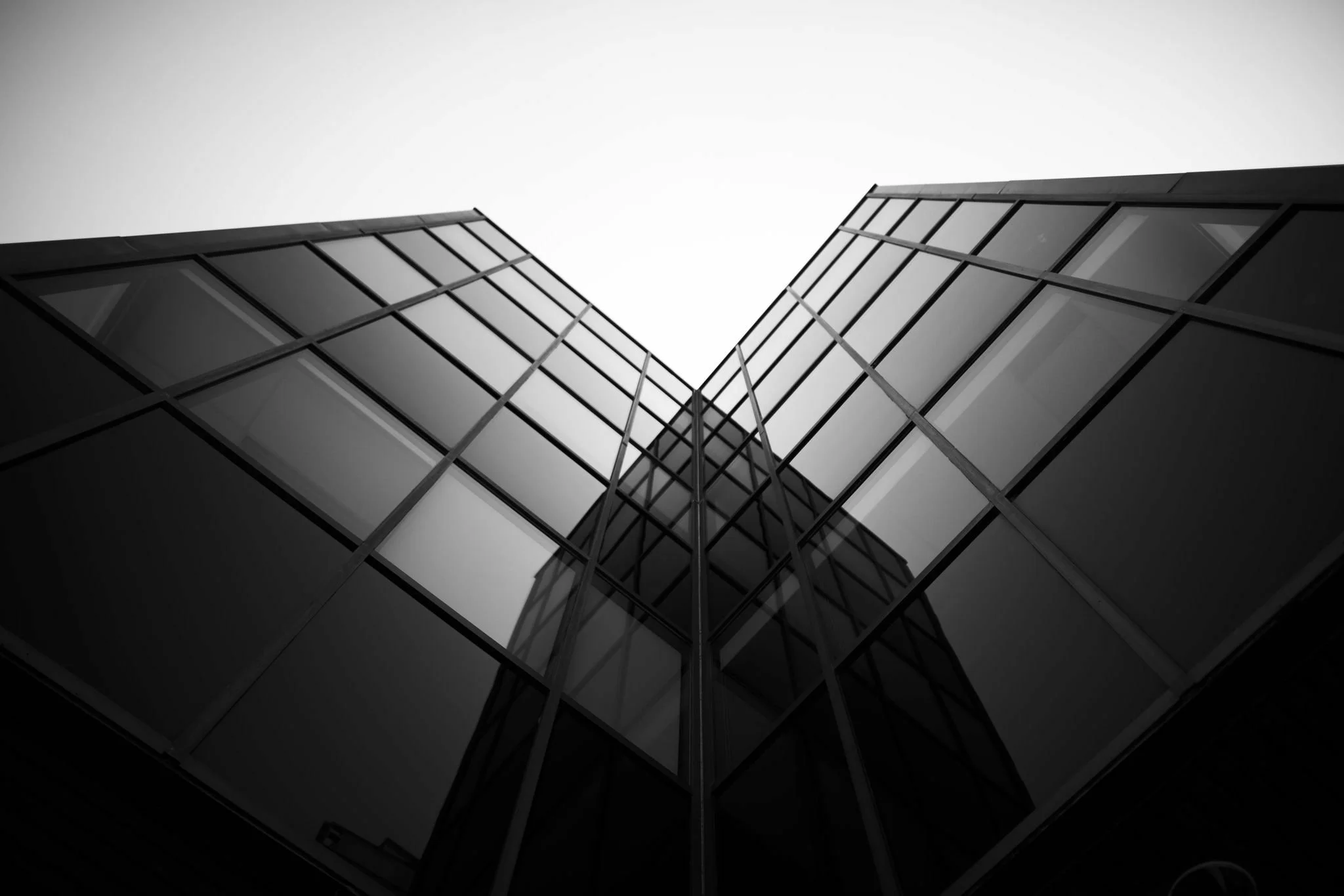 363613853_3559561487700302_4996134816055336115_n.jpg