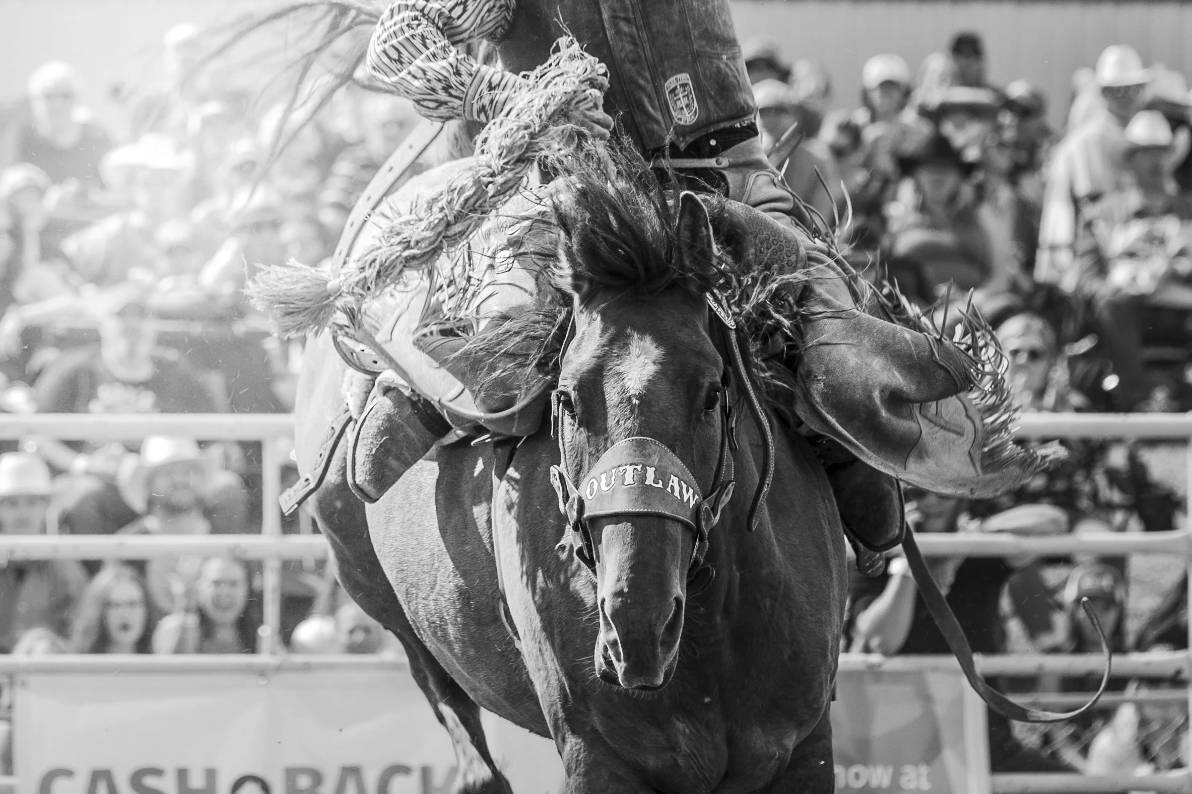 AirdrieRodeo2022 (126).jpg