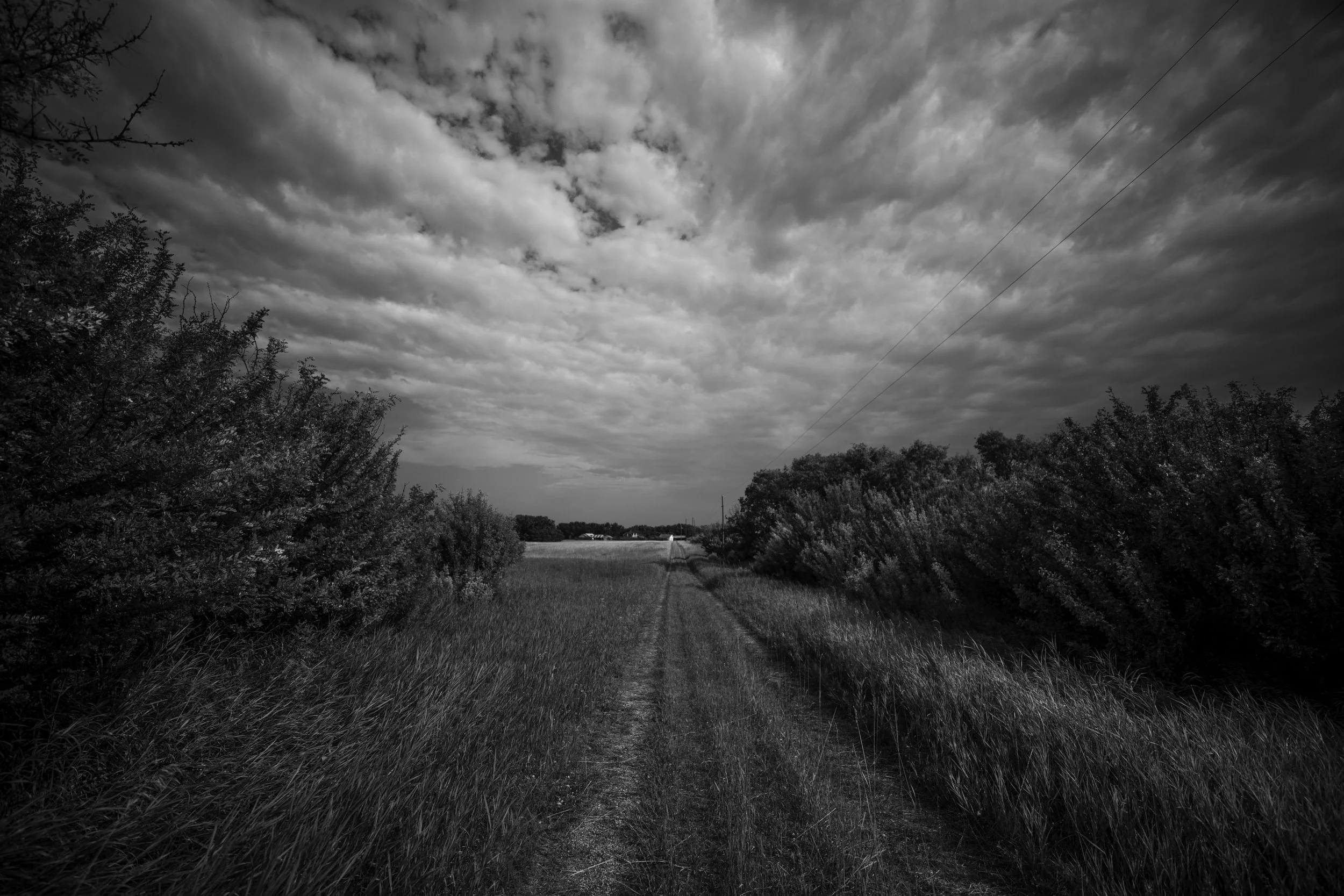 B34A4447_4891 copy.jpg