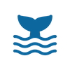 Blue Tail copy_Small.png