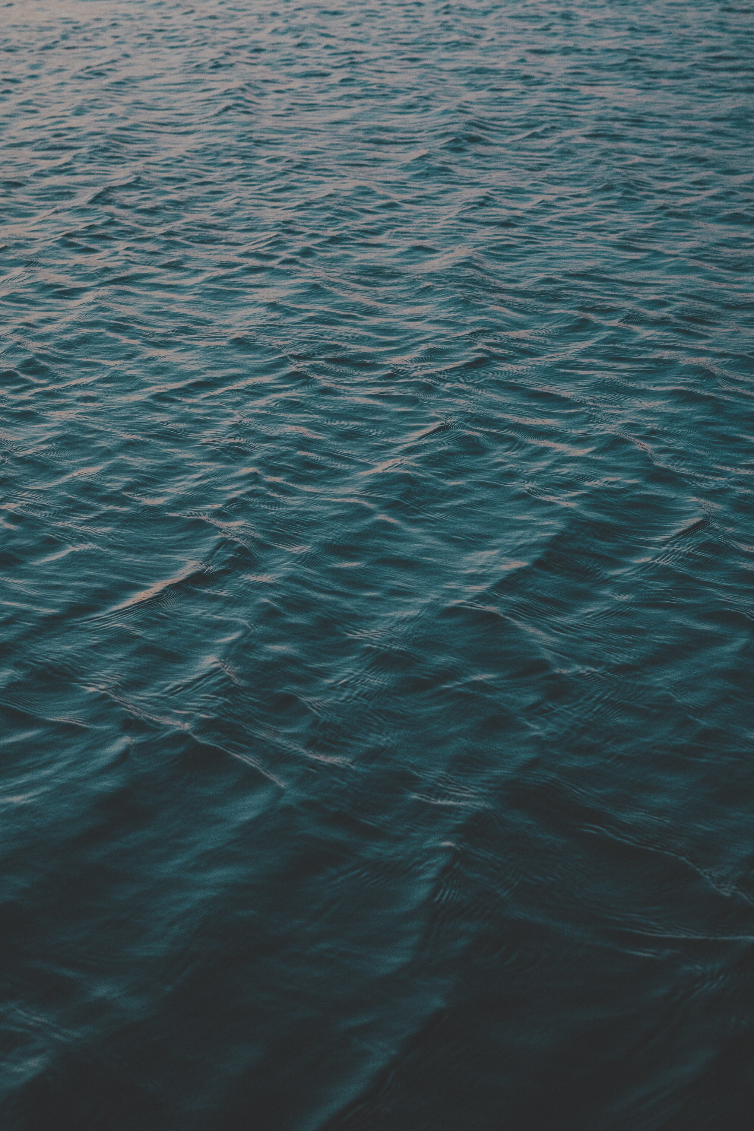 matteo-bernardis-QpIayO5KIRE-unsplash.jpg
