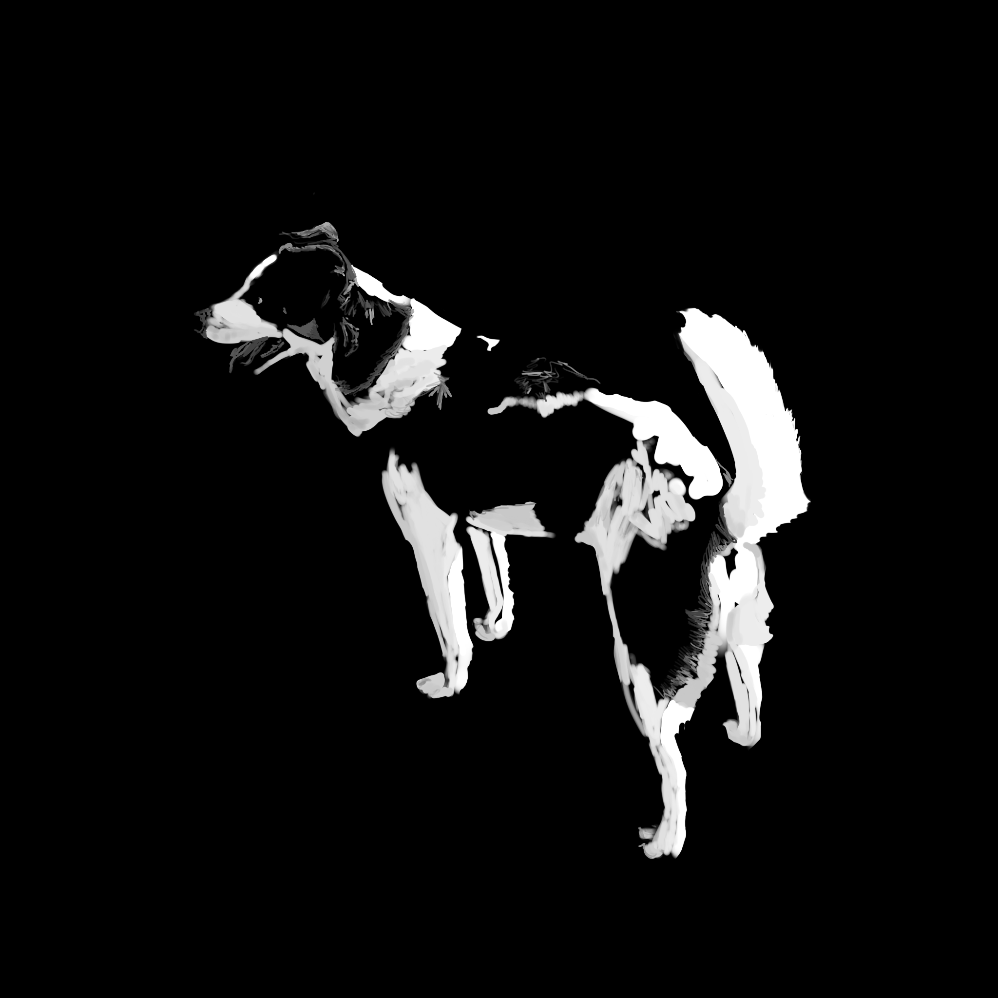 doggo in proggo