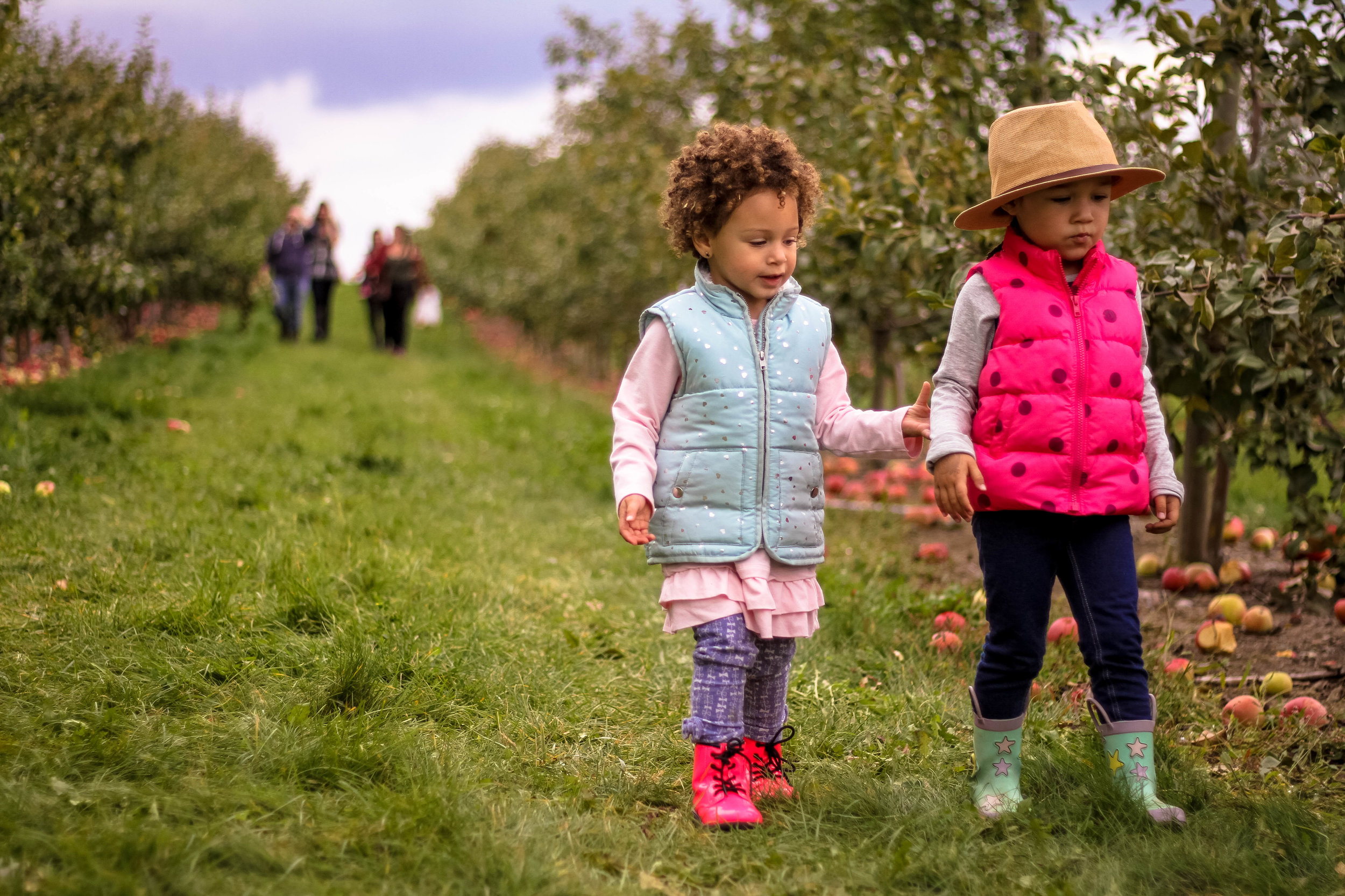 Apple Picking - 003.jpg