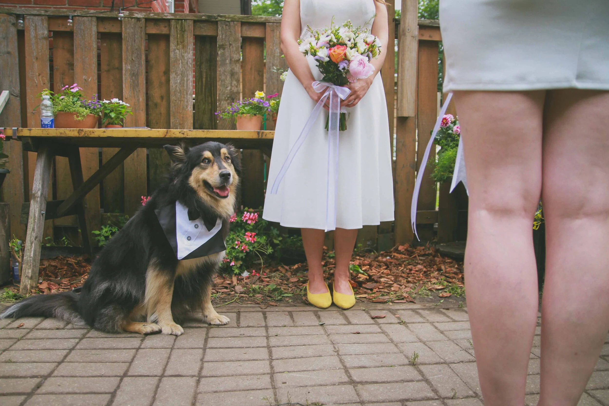 Anya and Jocelyn - Ceremony - 023.jpg