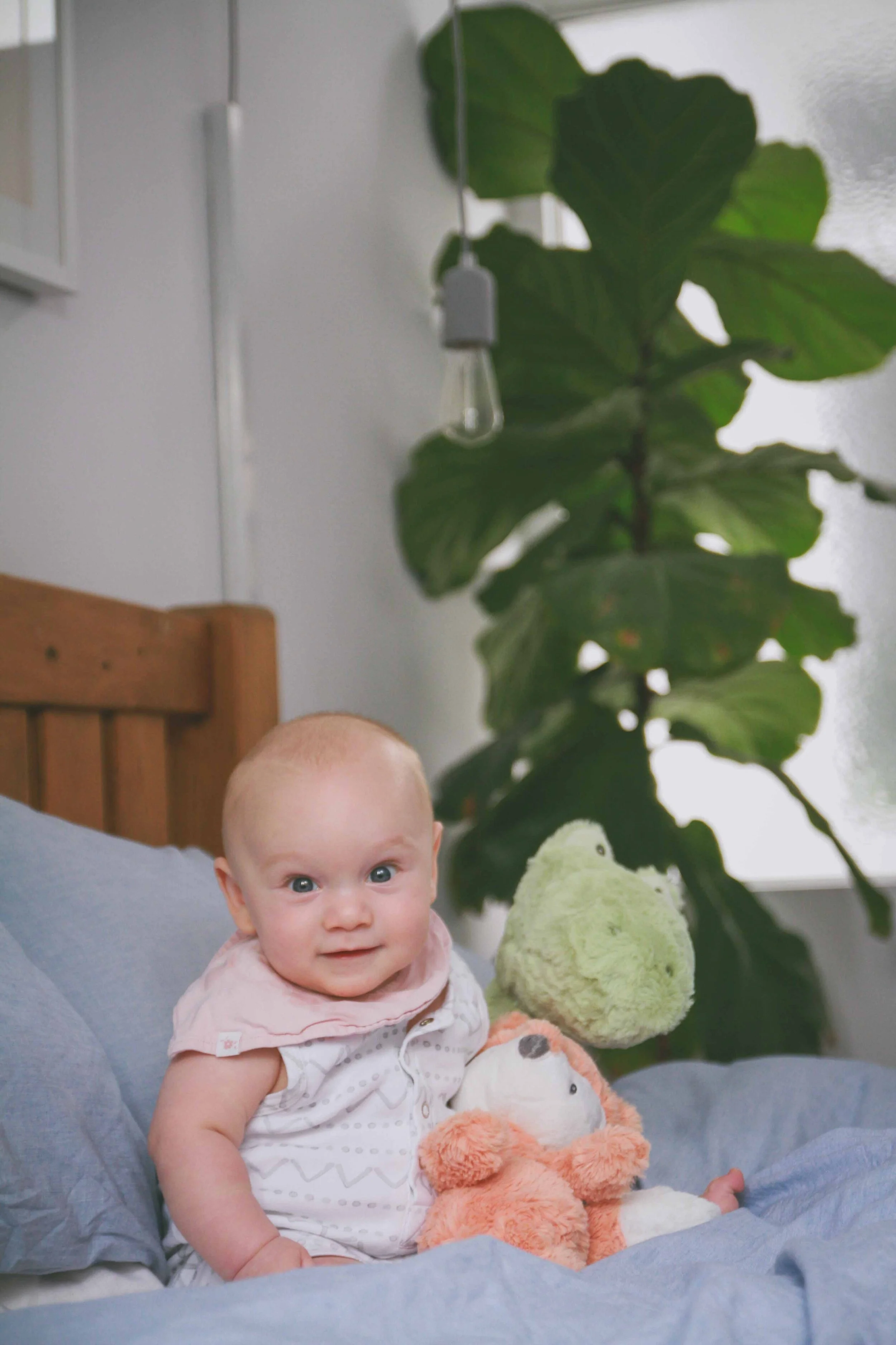 Saul Alison Josh - 038.jpg