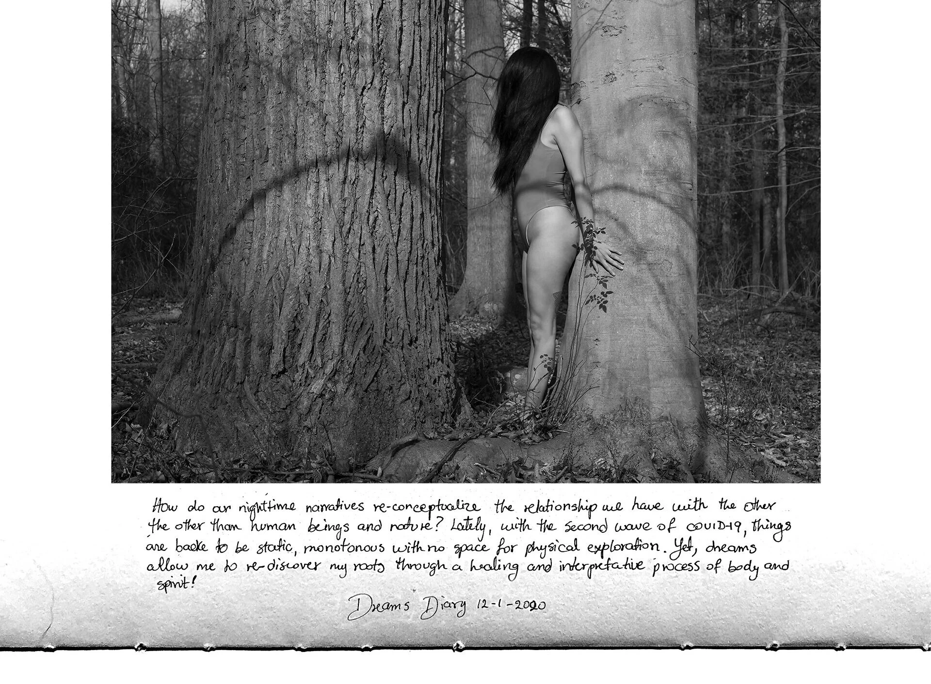 Nature+embracement+web+72.jpg