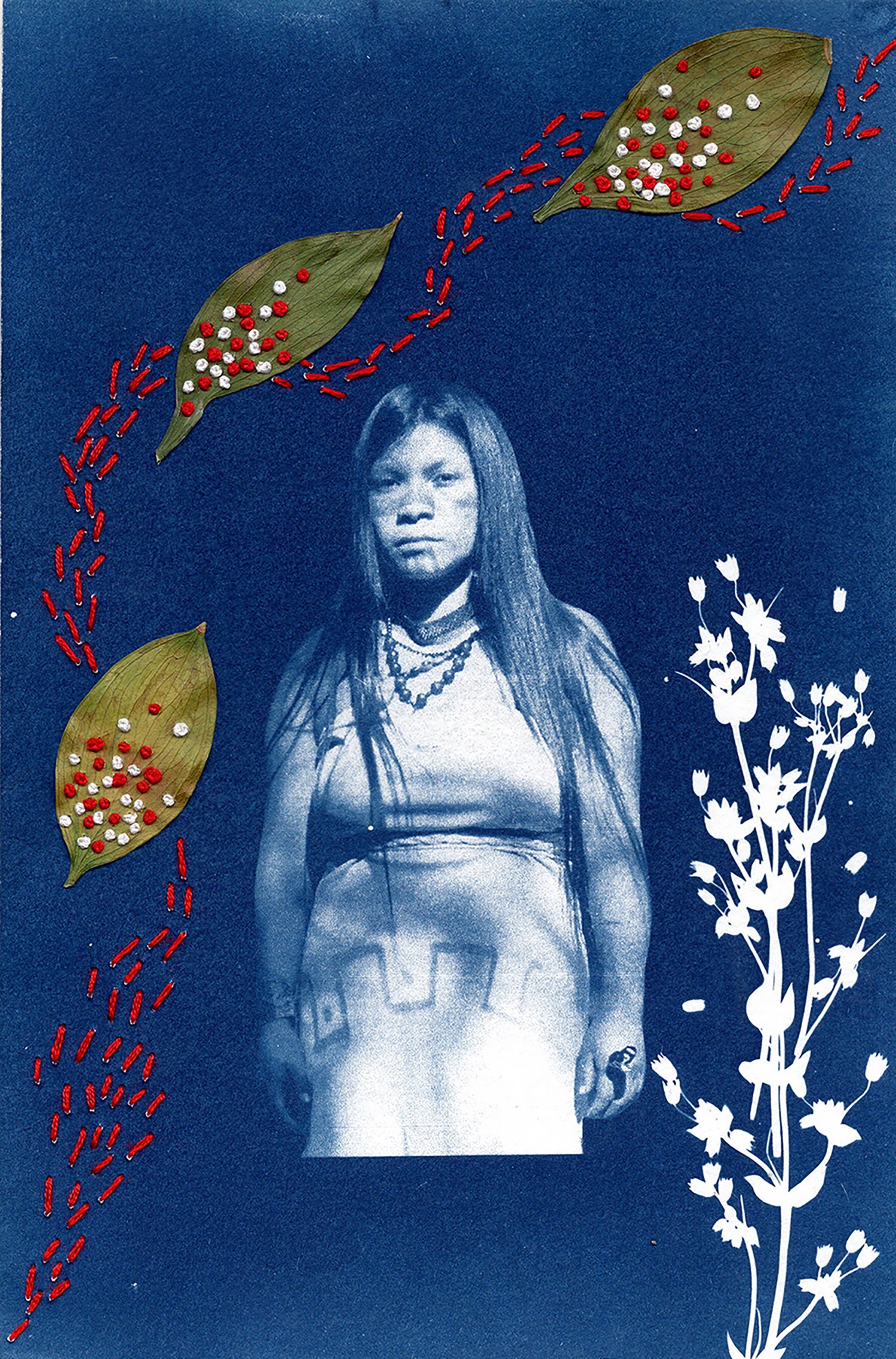  Cyanotype photography intervened with embroidery 