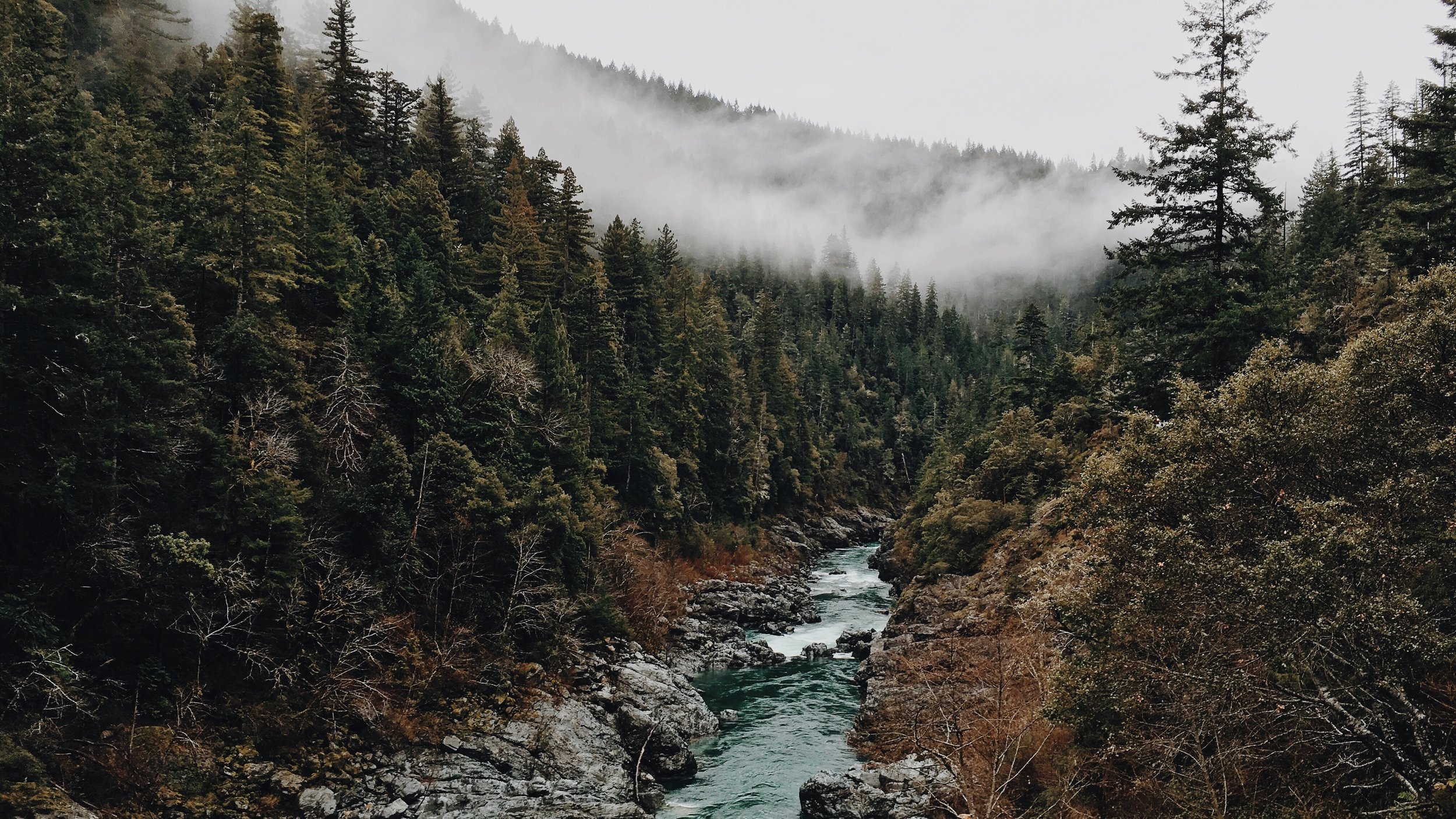 steve-carter-68584-unsplash.jpg