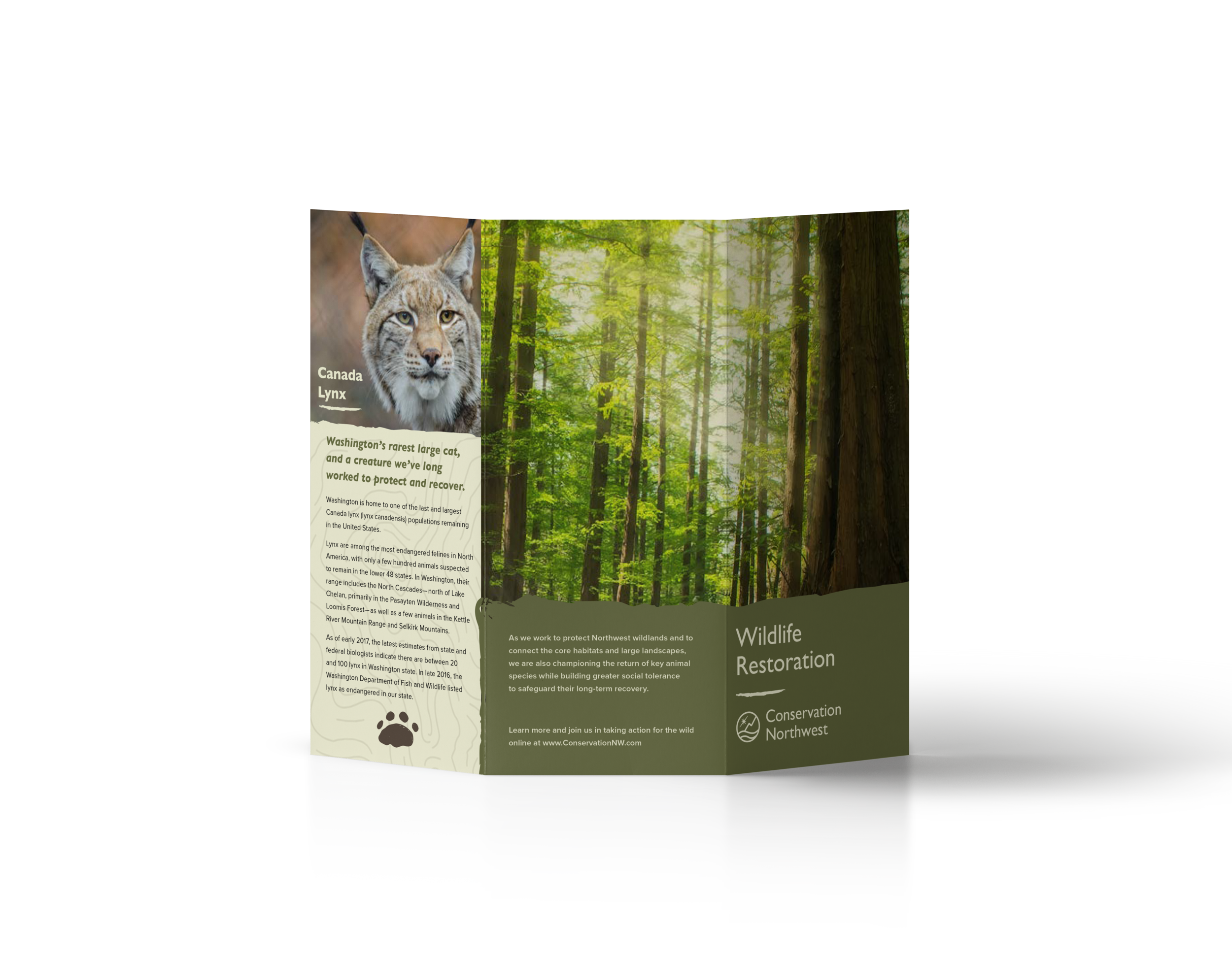 brochure.png