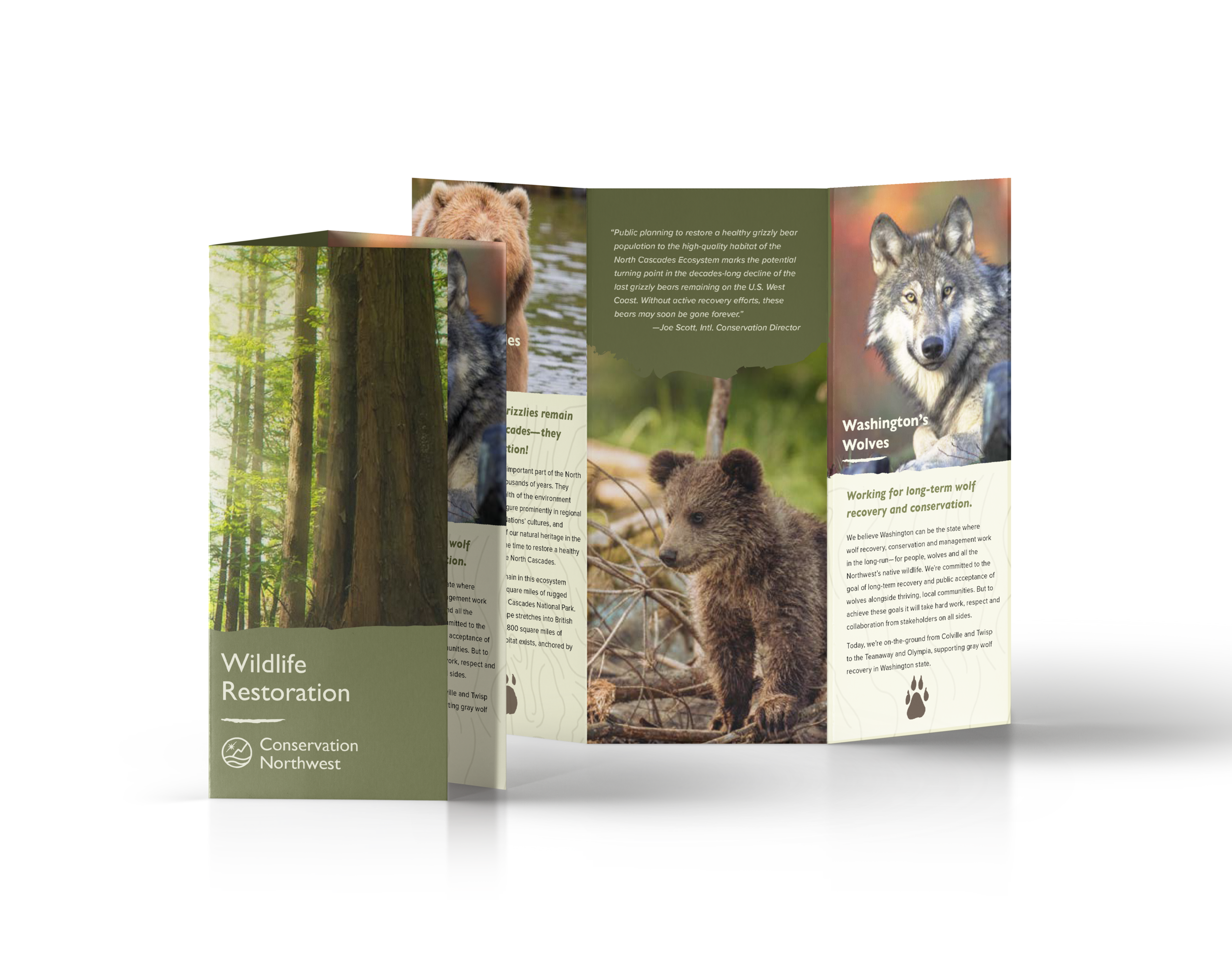 brochures.png