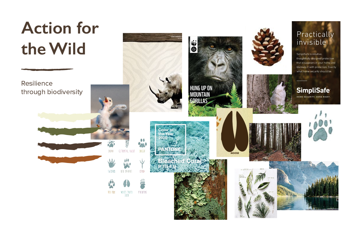 Moodboard inspired by Conservation Northwest