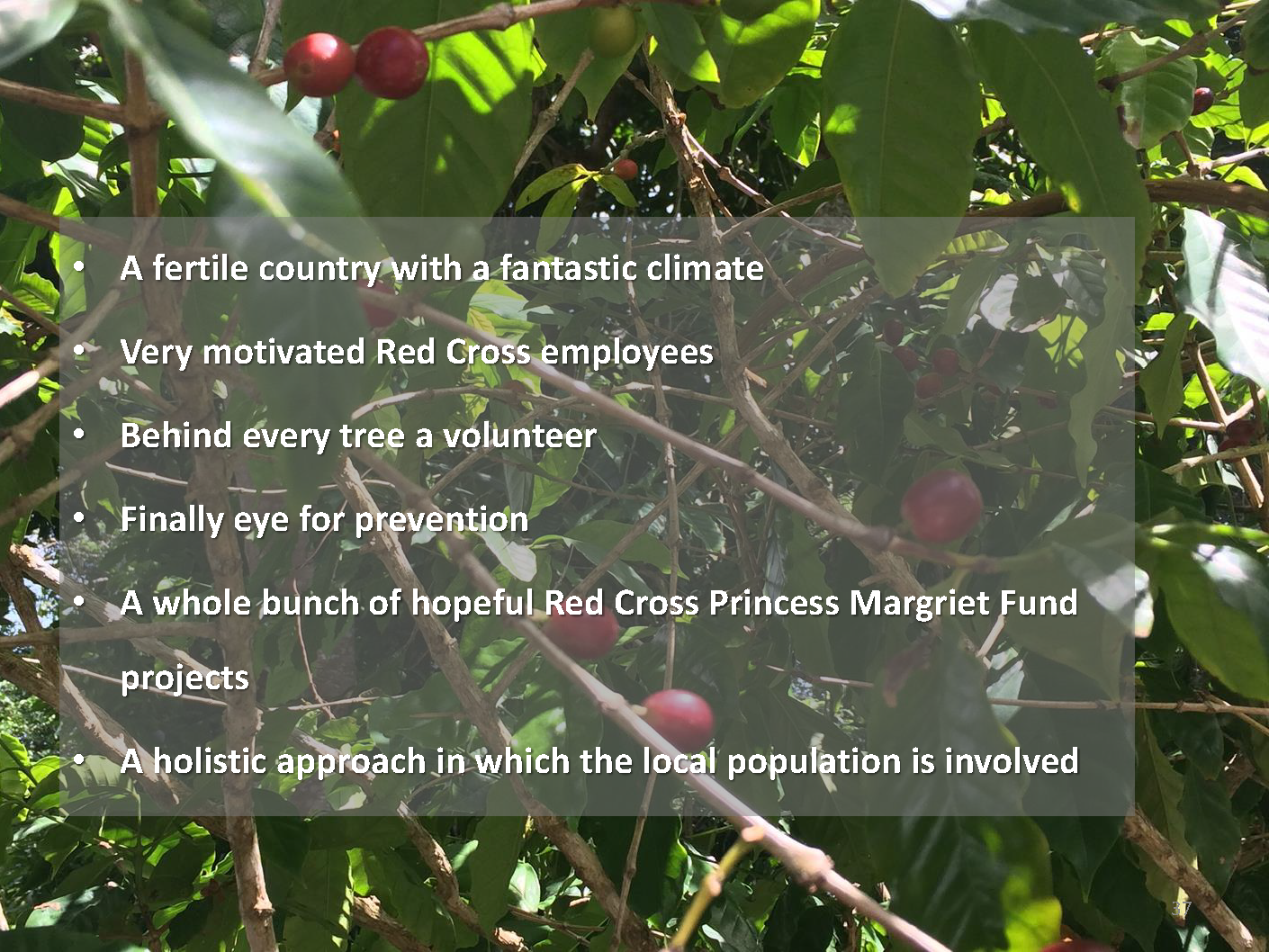 Red Cross HKU Inspiration in Haiti_Page_37.png