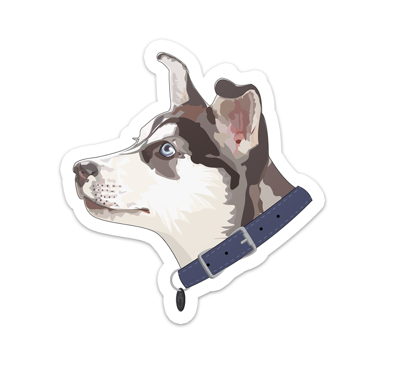 Untitled-16.png