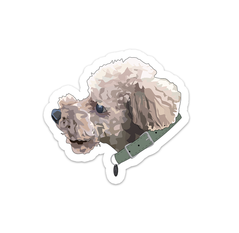 Untitled-13.png