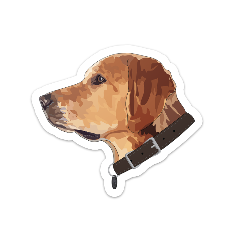 Untitled-14.png