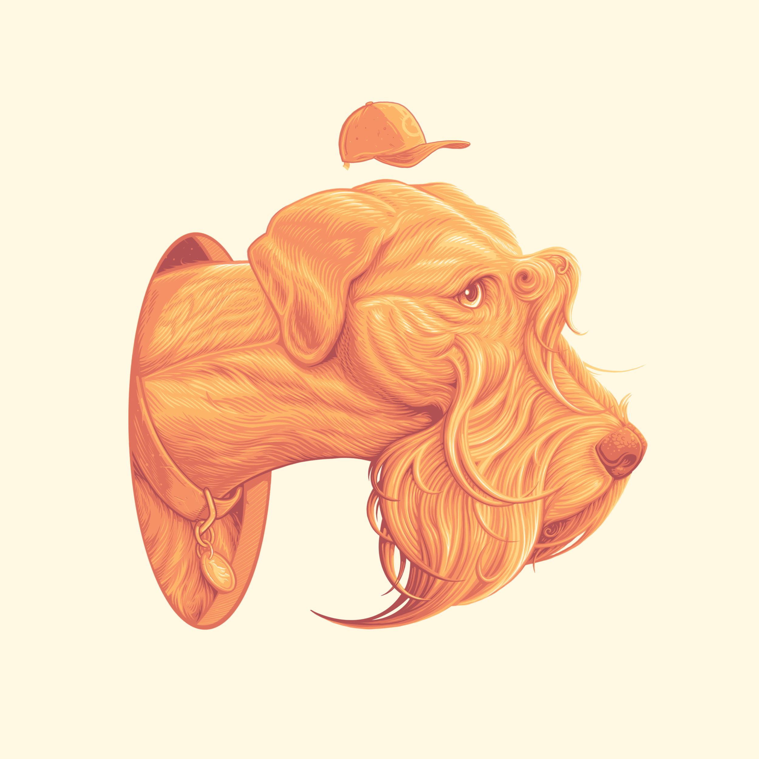 654B0484-A77B-494A-BA06-AF704754A655