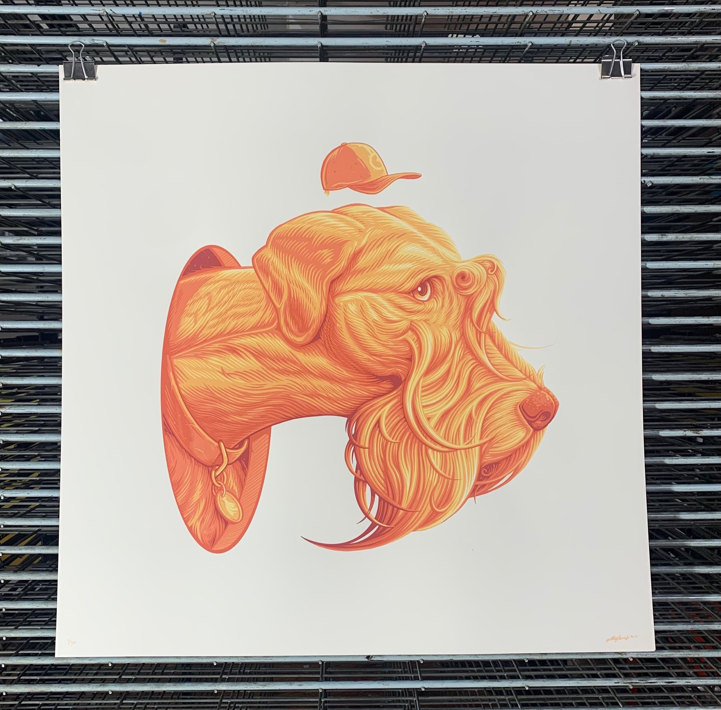 1AADA0C1-32B5-45B2-8ADD-F045FF62BF5C