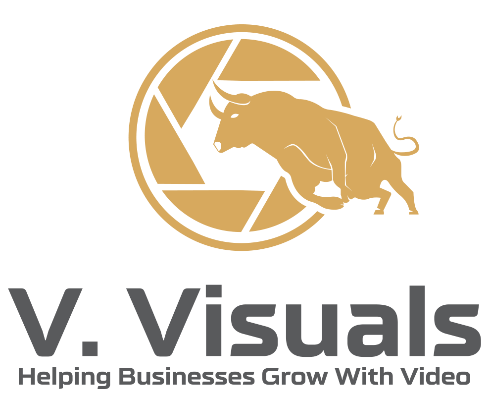 V. Visuals