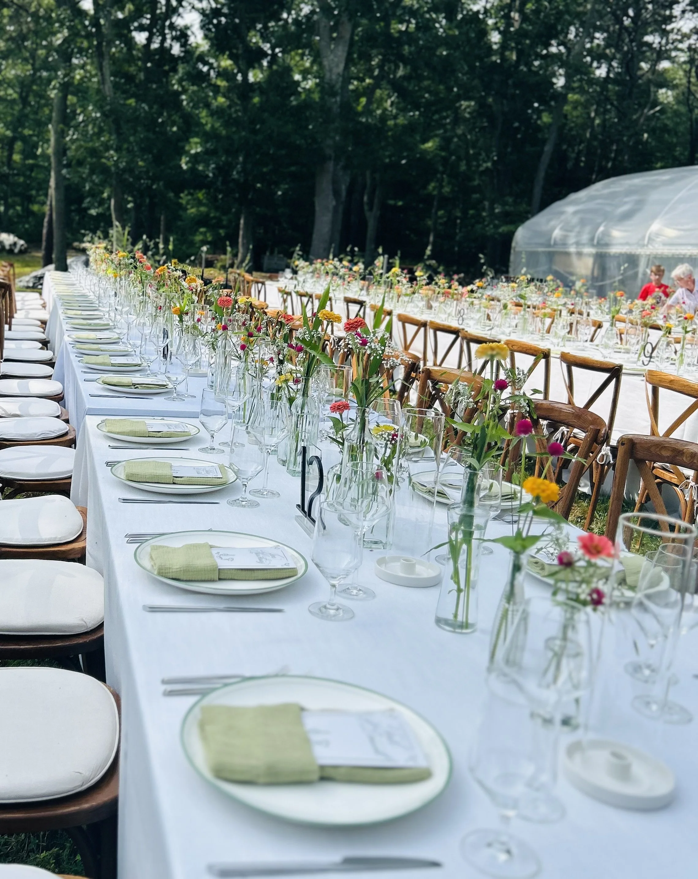 Meg long table .jpeg