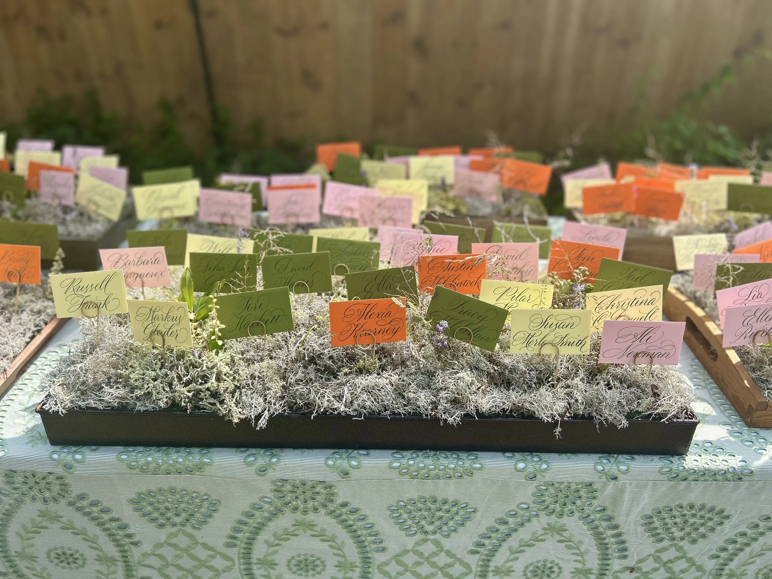 Meg placecards.jpeg