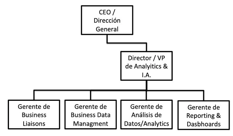 Area de Analítics & Inteligencia Artificial.