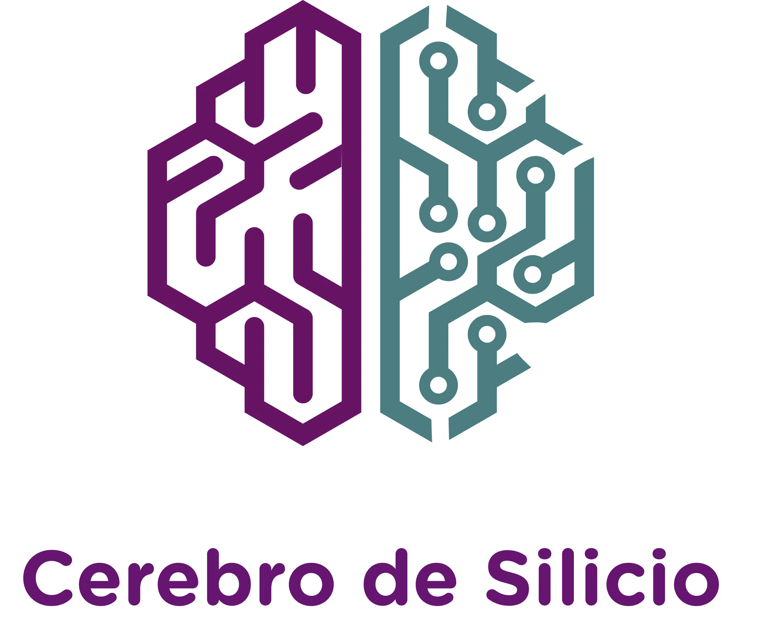 Logo Cerebro de Silicio.jpg