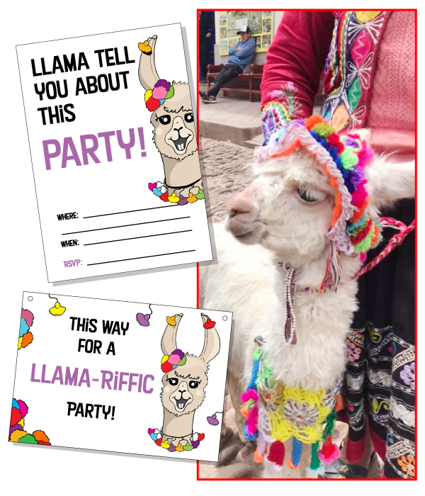 2019.Llama-Art-Inpired-Photo.png