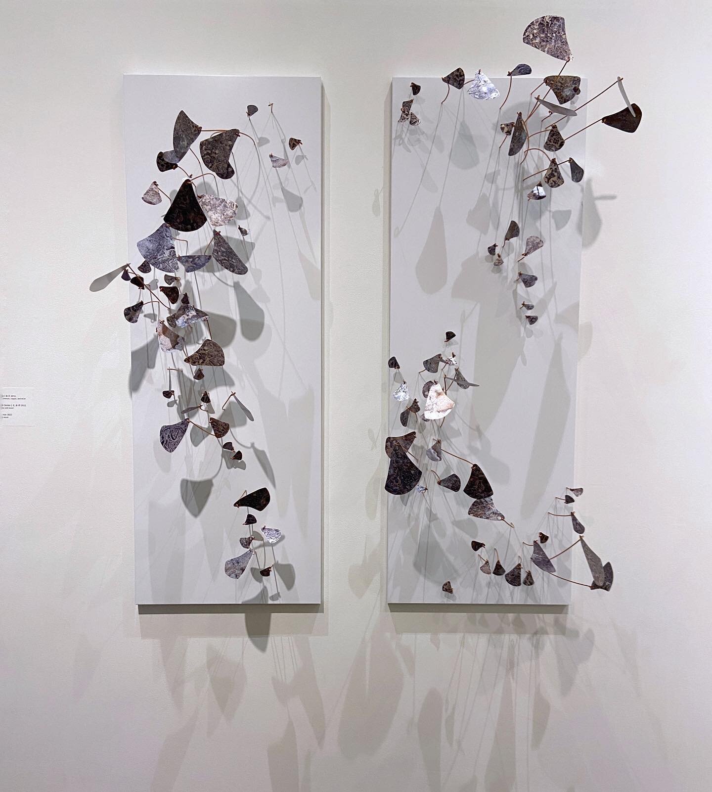 Lela Jaacks, &ldquo;Coquina I &amp; II&rdquo; (2016), printed aluminum, copper, and ACM on view in micro/tele SCOPE through October 2023. 

@lela.jaacks 

#microteleacope #sculpture #wallsculpture #aluminum #copper #lelajaacks #shadow #lightandshadow