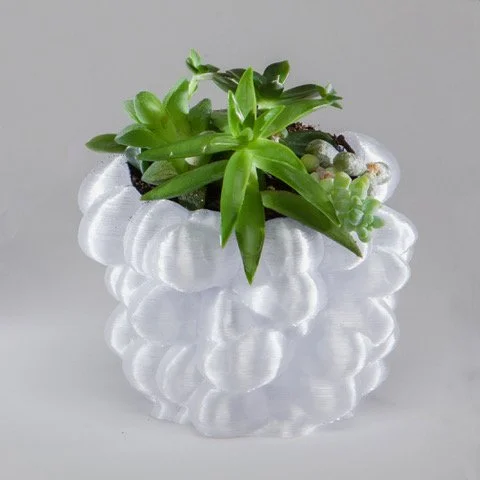 Limited-Edition 3D-Printed Succulent Holder by Aurora Robson (Small)