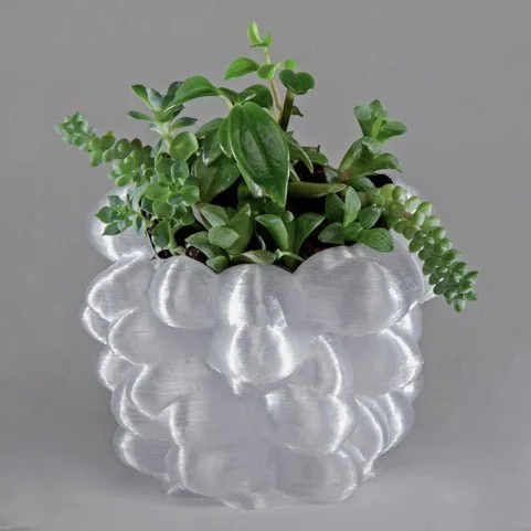 Limited-Edition 3D-Printed Succulent Holder by Aurora Robson (Medium)