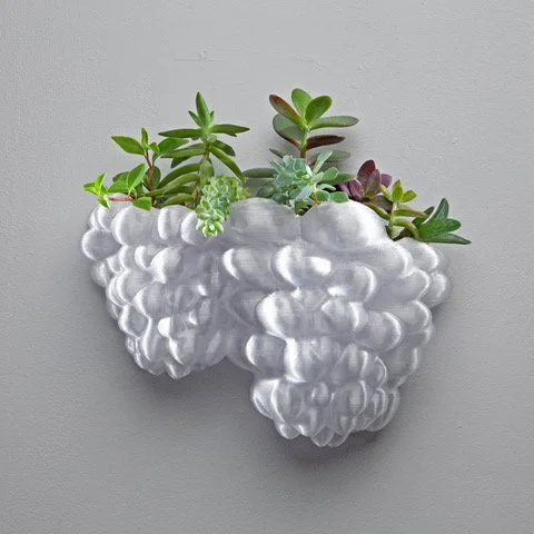 Limited-Edition 3D-Printed Succulent Holder by Aurora Robson (Large, Wall-Mounted)