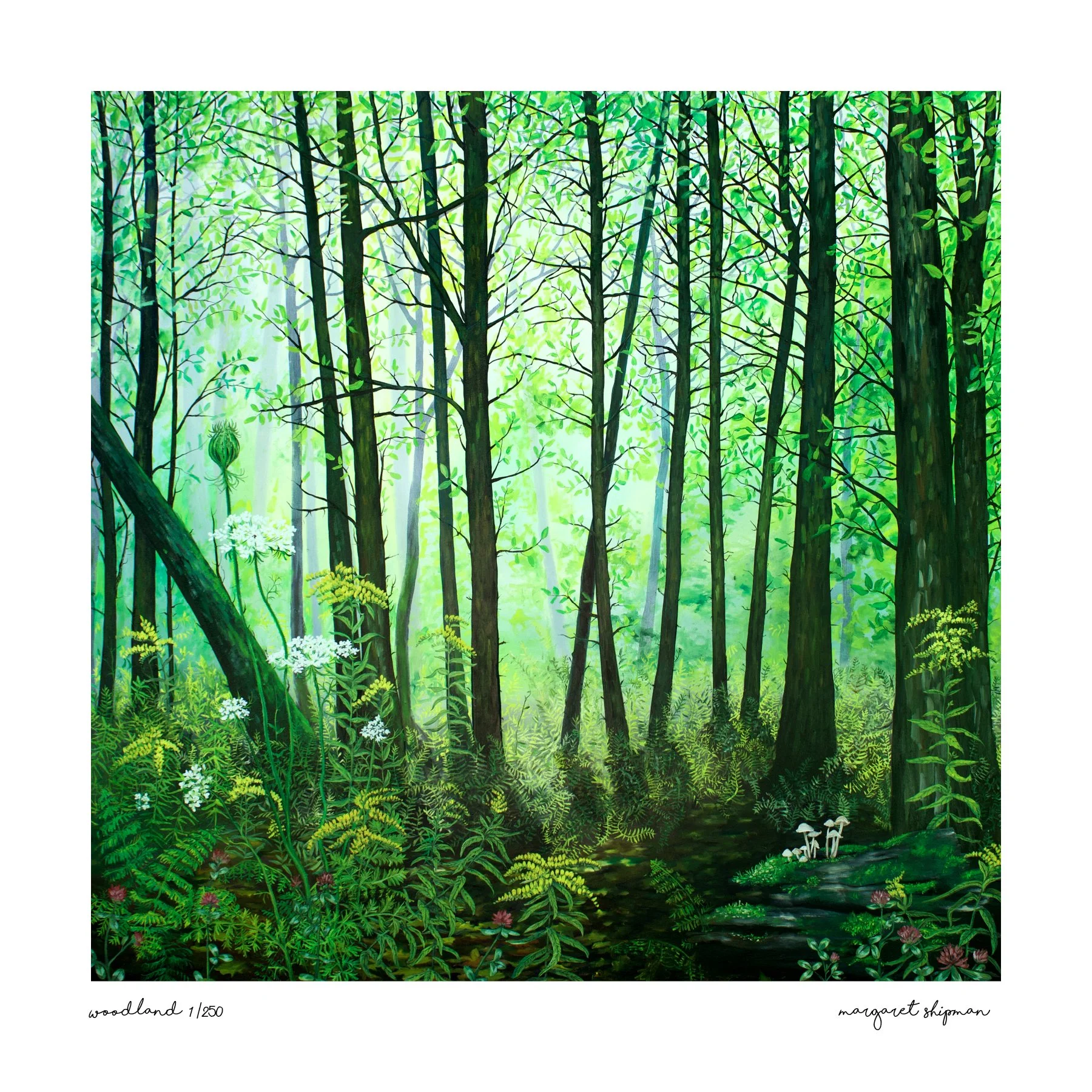 woodland for etsy .jpg