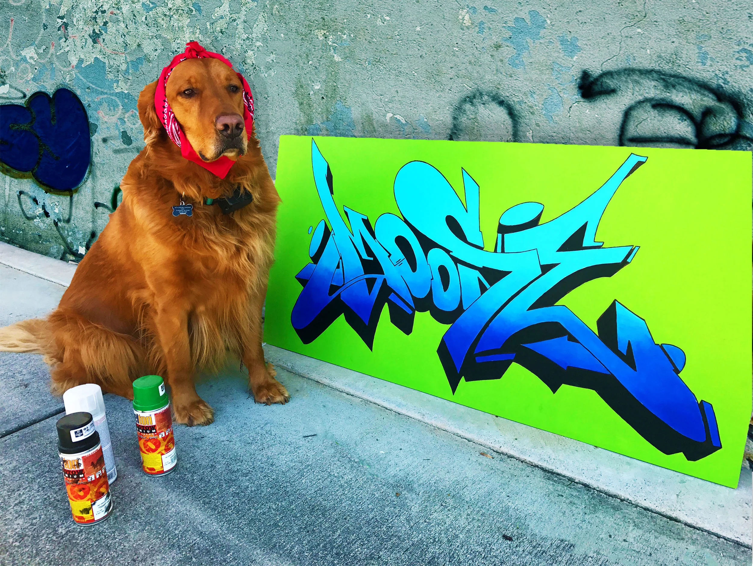 moosegraffiti copy.jpg