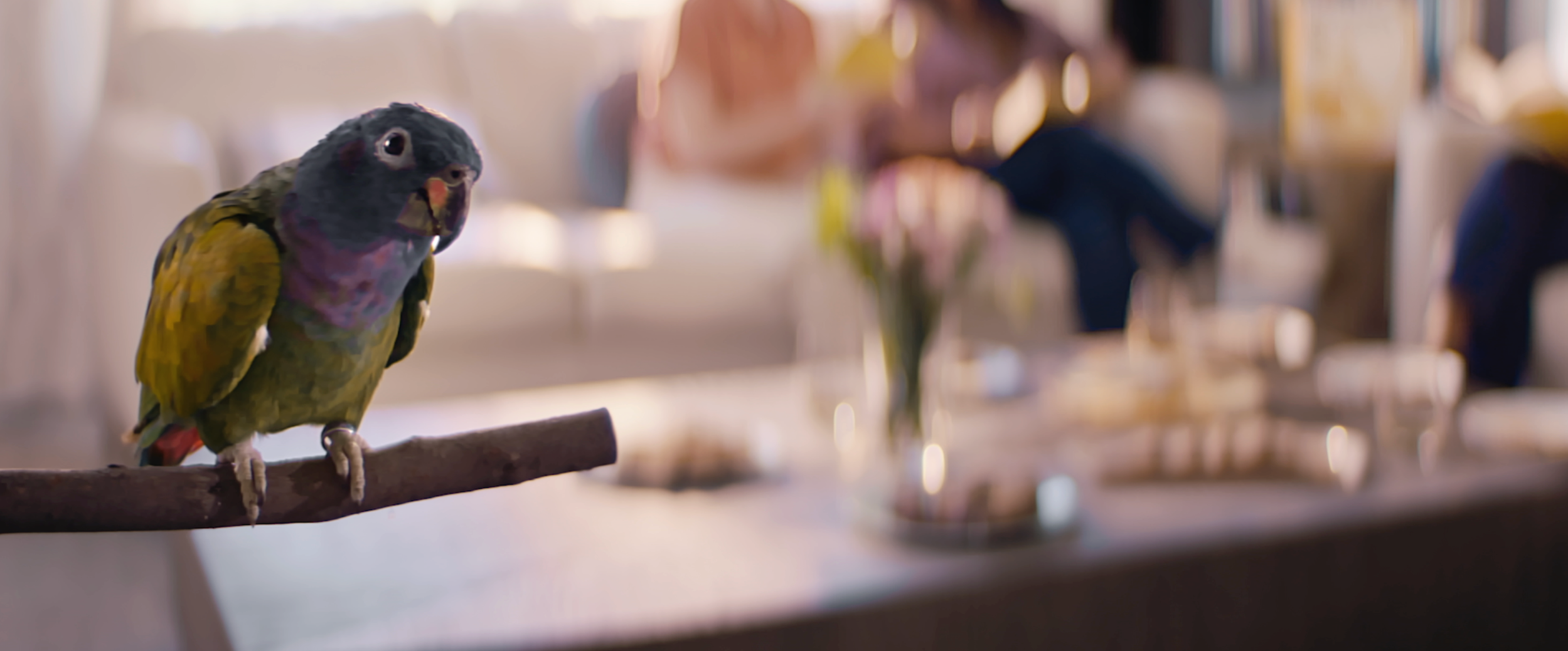 Screen Shot 2025-08-04 at 11.01.22 PM.png