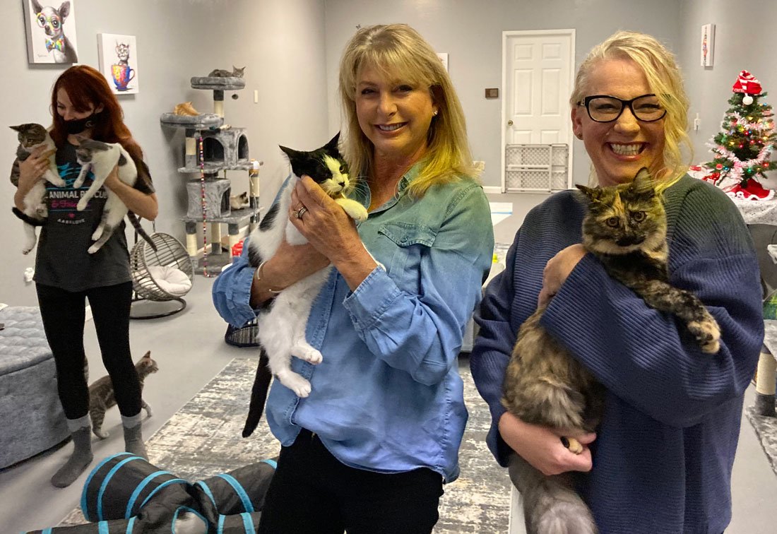 Meet your next pet at adoption playroom