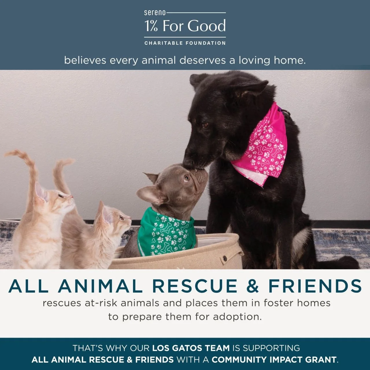 Serano Group Grant Winners