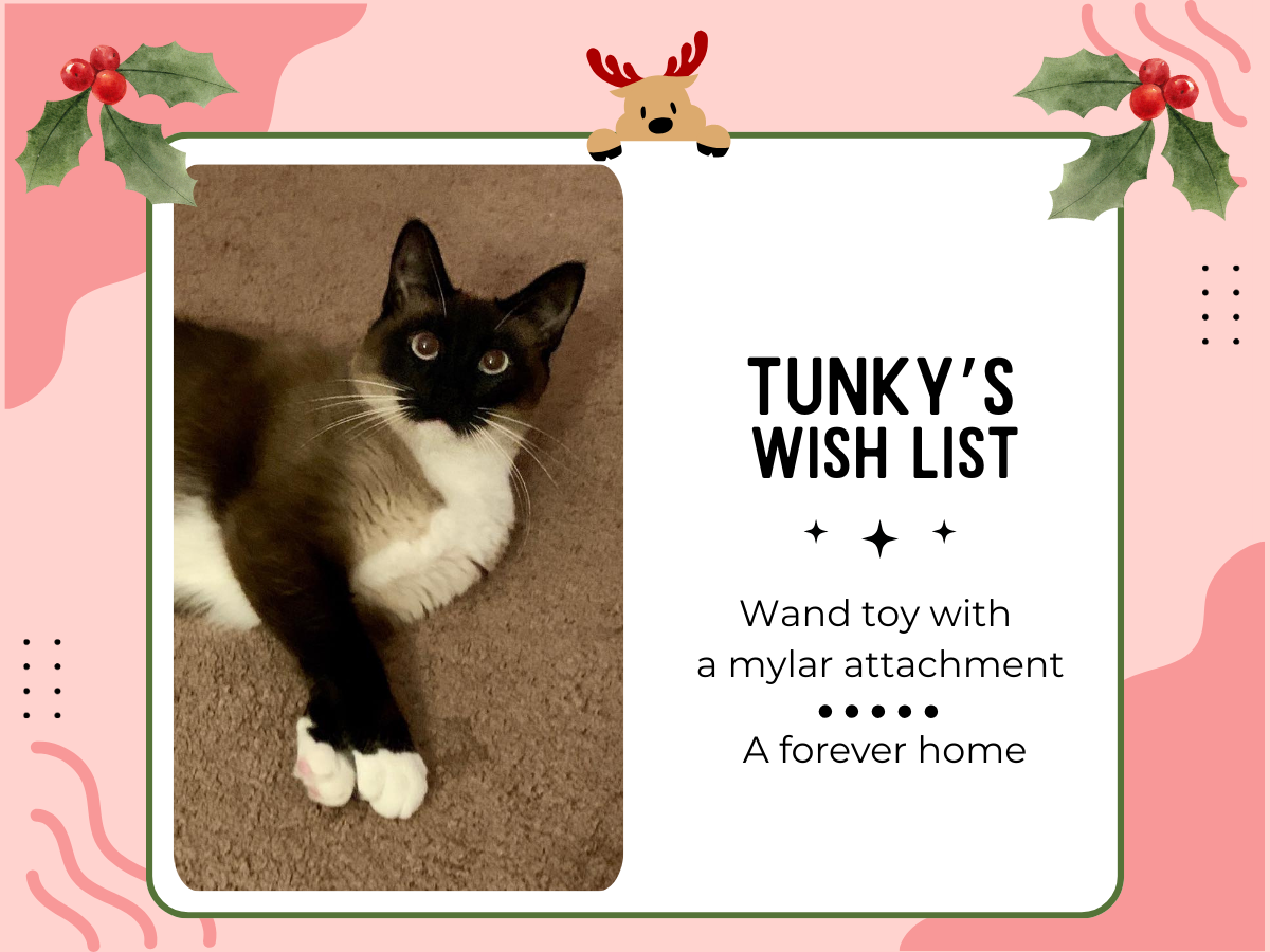 Giving Tree 2025 — All Animal Rescue & Friends